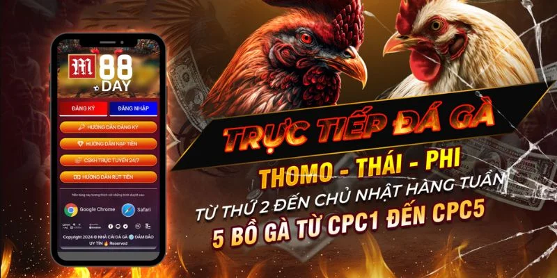 Khuyến mãi dành cho hội viên đá gà VIP của M88 rất hấp dẫn.